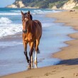 © LIGHTFIELD STUDIOS - A full shot photo of a horse walking along a sandy beach, soft focus blending the ocean waves and distant cliffs into a soft background, high angle shot that captures the entire horse from above, its
