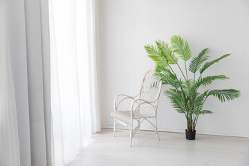 Canvas Print - Light armchair by the window with a green plant in the interior of a white room