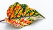 © Quickknow - A uniquely patterned leaf with vivid variegated colors, resting gracefully on a smooth white background