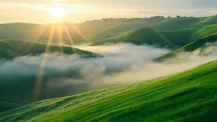 Poster - Sunrise over green rolling hills with mist, serene landscape. Nature tranquility and beauty concept