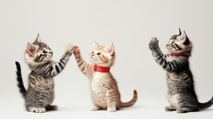 Poster - Three Playful Cats Sharing High Fives in a Playful Indoor Setting Generative AI
