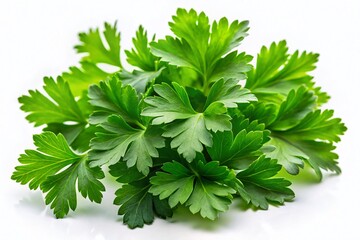 Fresh Parsley Herb Isolated on White Background for Culinary and Health Uses