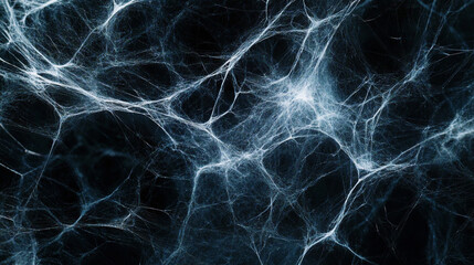 Abstract Spiderweb Texture   Dark Blue and White Background