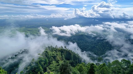 Wall Mural - clouds over forest