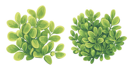 Wall Mural - Cartoon Shrub Bushes Collection Featuring Vibrant Green Foliage Generative AI