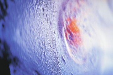 Poster - High-Resolution Macro Shot of Hurricane Radar Display Showcasing Meteorological Precision and Storm Tracking