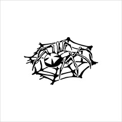 A spider waiting for its prey on a white background