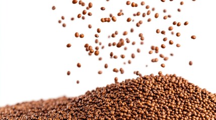 A pile of brown seeds with some scattered above, suggesting agricultural or gardening use.