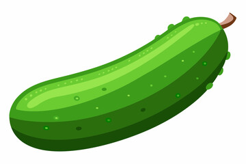 Wall Mural - Delicious fruit cucumber vector art illustration