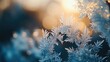 © samrit - Close-up of frost crystals on a windowpane, their fragile beauty and intricate patterns captured in stunning macro detail