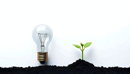 Light Bulb,  The Spark of Growth: A Conceptual Representation of Innovation and Nature