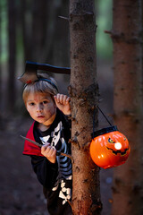 Wall Mural - Boy in a forest with Halloween costumes, carved pumpkins with candles and decoration, creepy concept