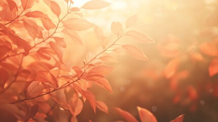 Poster - Soft Focus Leaves with Fall Colors and Diffused Lighting