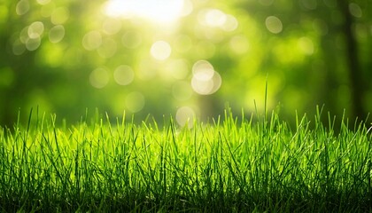 Wall Mural - natural grass background with blurred bokeh