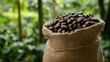 © GenZGraphics - Freshly roasted coffee beans in a burlap bag set against a lush green plantation backdrop