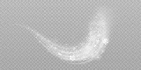 Poster - Christmas cold blizzard effect with snow. Vector texture Cold winter wind with snowflakes on transparent background.	