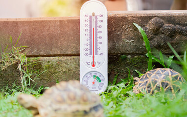 Selective focus of a thermometer on a sunny day in the pet area at home.