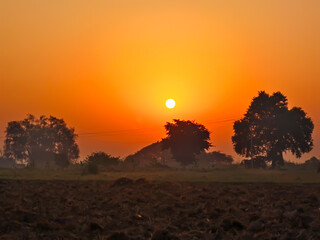 Wall Mural - Sunset in the countryside of India. The sun is setting behind the trees.