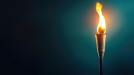 Wall Mural - Torch with a flame, symbolizing the light of human dignity