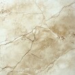 © Thanawin - Marble texture with natural patterns and earthy tones, ideal for design backgrounds.