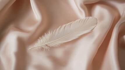 Poster - delicate feather on soft satin fabric
