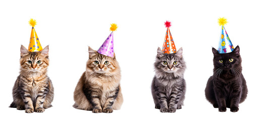 Canvas Print - Set of four adorable cats wearing Birthday party hats posing over isolated white transparent background