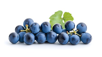 Poster - Close up of ripe dark blue and round Oregon grape berries isolated on a plain white background  The organic fresh and healthy fruit has a sweet juicy taste and is known for its antioxidant properties