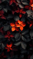 Poster - A close up of a bunch of red flowers with black leaves