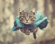 © NNS Studio - Adorable kitten blew superhero Cape fly air cute action pose Playful Sky dramatic fierce flowing Cute kawaii tabby cat kitty feline white paws Imaginary fantasy clean background white black retro
