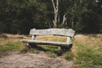 wooden bench in the national park