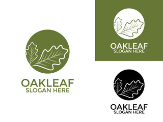 Wall Mural - Oak leaf logo design illustration vector template, Green Oak Leaves logo design icon