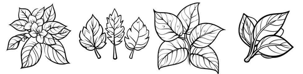 Poster - A modern illustration of bay leaves isolated on white. A doodle of a set of dry bay leaves