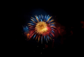 Poster - A single firework explodes in a burst of red, blue, and yellow against a dark night sky.