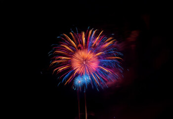 Wall Mural - An isolated, colorful firework display against a black background.