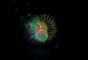 Poster - An isolated firework display against a black background with vibrant green, purple, and gold bursts.