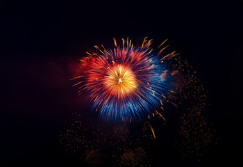 Wall Mural - A colorful firework display bursts against a dark, isolated background.