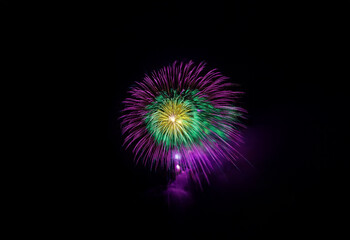 Poster - A vibrant firework display with purple, green, and yellow hues bursts against a black background.