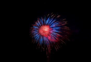 Poster - An isolated red and blue firework explodes against a black background.