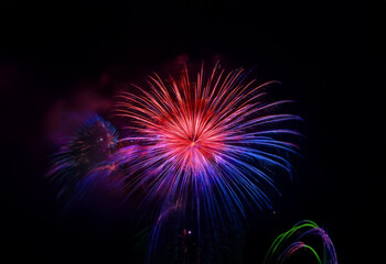 Poster - A single firework bursts against a dark sky, its red, purple, and blue streaks radiating outwards.