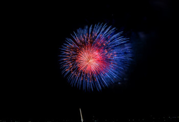 Wall Mural - A single firework bursts in the night sky, isolated against a black background.