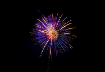 Poster - A single firework explodes in a burst of purple and yellow against a black background.