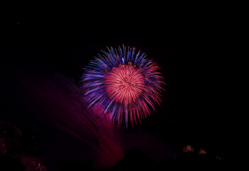 Poster - A single firework bursts in a vibrant display of red and blue against a dark, isolated background.