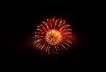 Poster - An isolated, circular burst of fireworks against a black background.