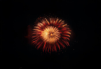 Poster - A single firework bursts in the night sky, isolated against a black background.