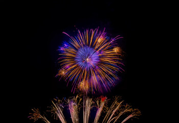 Poster - A single firework burst in the sky, isolated against a dark background. It's vibrant colors illuminate the night.