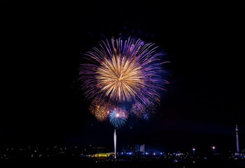 Poster - A vibrant, purple and yellow firework bursts against a dark, isolated sky.