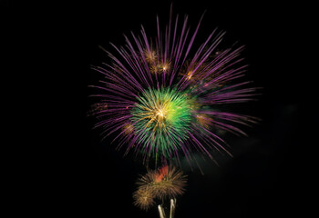 Poster - A single firework bursts in the night sky against a black background, radiating purple, green, and yellow sparks.