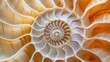 © IgitPro - Abstract depiction of a nautilus shell, focusing on its intricate geometric design. The shell's natural swirl is a stunning visual element in this art piece.