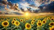 © chaiwat - field of sunflowers with sunlight and clouds evoking peace and relaxation