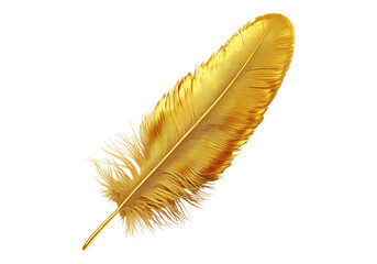 Photo of golden feather .Transparent background. Isolated PNG.